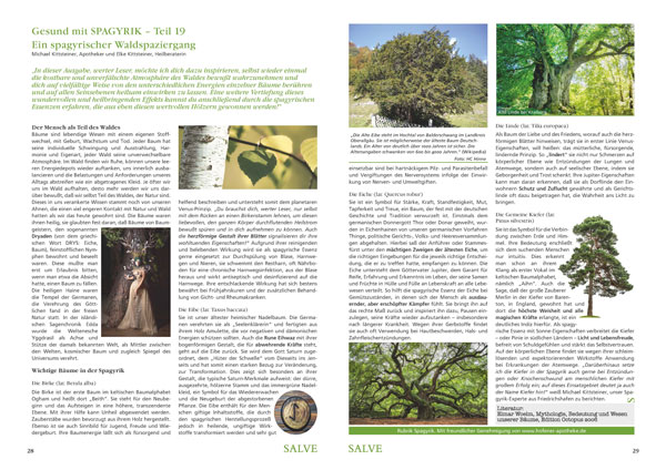 Artikel Spagyrik Teil 19 SALVE Herbst 2020 Bäume